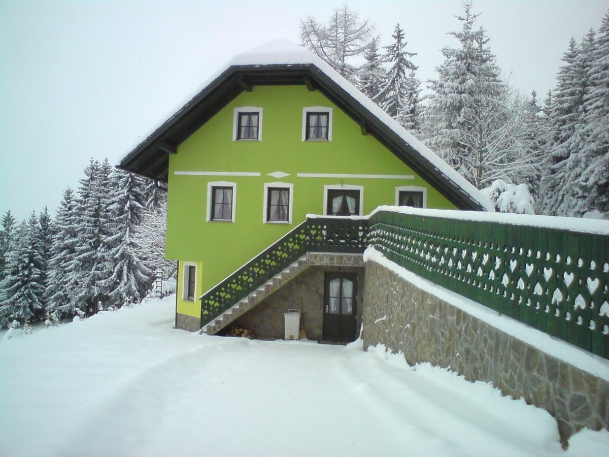 Apartment Sara Vitanje Zewnętrze zdjęcie